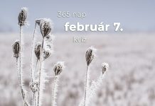 Február 7. Kvíz - február 7.