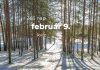 Február 9. Kvíz - február 9.