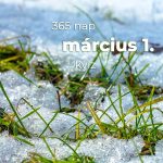 Március 1. Kvíz - március 1.