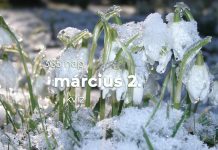 Március 2. Kvíz - március 2.