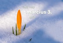 Március 3. Kvíz - március 3.