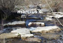 Március 4. Kvíz - március 4.