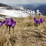 Március 5. Kvíz - március 5.