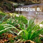 Március 8. Kvíz - március 8.