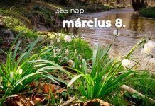 Március 8. Kvíz - március 8.