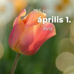 Április 1. Kvíz - április 1.