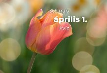 Április 1. Kvíz - április 1.