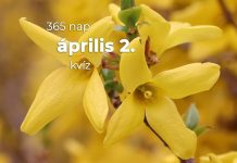 Április 2. Kvíz - április 2.