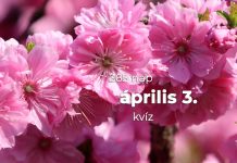 Április 3. Kvíz - április 3.