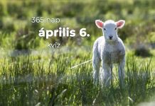Április 6. Kvíz - április 6.