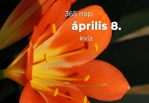 Április 8. Kvíz - április 8.