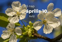 Április 10. Kvíz - április 10.
