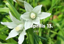 Április 13. Kvíz - április 13.