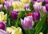 Április 14. Kvíz - április 14.