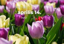 Április 14. Kvíz - április 14.