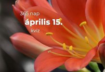 Április 15. Kvíz - április 15.