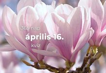 Április 16. Kvíz - április 16.