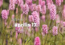 Április 17. Kvíz - április 17.