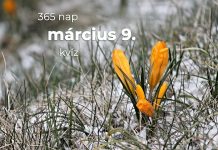 Március 9. Kvíz - március 9.