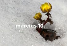 Március 10. Kvíz - március 10.