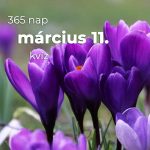 Március 11. Kvíz - március 11.