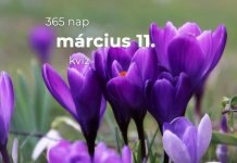 Március 11. Kvíz - március 11.