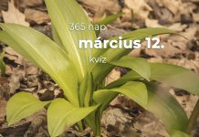 Március 12. Kvíz - március 12.