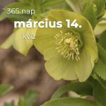 Március 14. Kvíz - március 14.