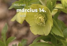 Március 14. Kvíz - március 14.