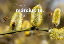 Március 18. Kvíz - március 18.