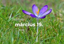 Március 19. Kvíz - március 19.