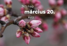 Március 20. Kvíz - március 20.