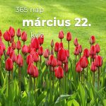 Március 22. Kvíz - március 22.