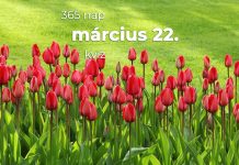 Március 22. Kvíz - március 22.