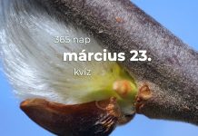 Március 23. Kvíz - március 23.