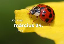 Március 24. Kvíz - március 24.