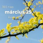 Március 25. Kvíz - március 25.