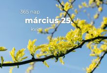 Március 25. Kvíz - március 25.