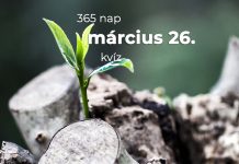 Március 26. Kvíz - március 26.