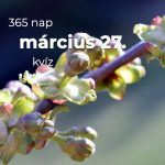 Március 27. Kvíz - március 27.