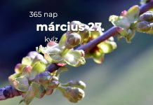 Március 27. Kvíz - március 27.