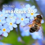 Március 30. Kvíz - március 30.