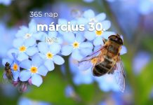 Március 30. Kvíz - március 30.