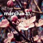 Március 31. Kvíz - március 31.