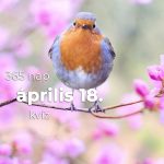 Április 18. Kvíz - április 18.