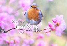 Április 18. Kvíz - április 18.