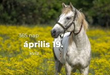 Április 19. Kvíz - április 19.