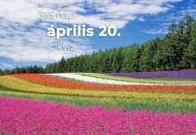 Április 20. Kvíz - április 20.