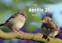 Április 21. Kvíz - április 21.
