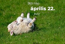 Április 22. Kvíz - április 22.